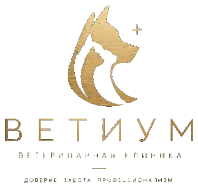 ВетИум